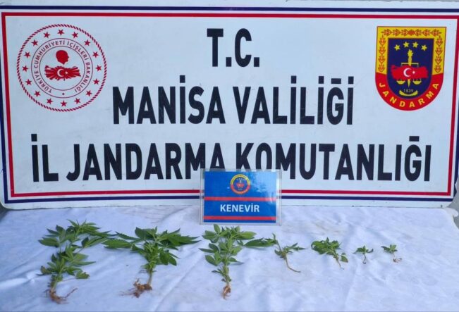 kenevir