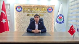 ahmet yasav